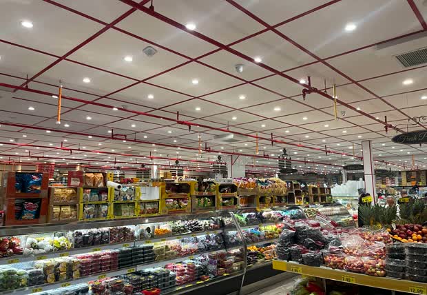 Fresh produce cases under the red ceiling grid